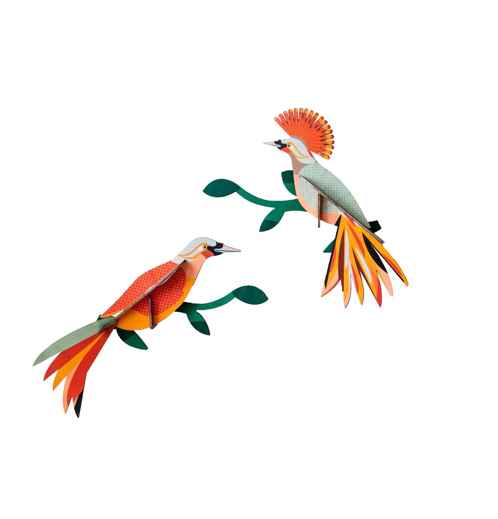 Paradisfugl Obi vægdekoration